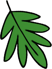 Leaf 5